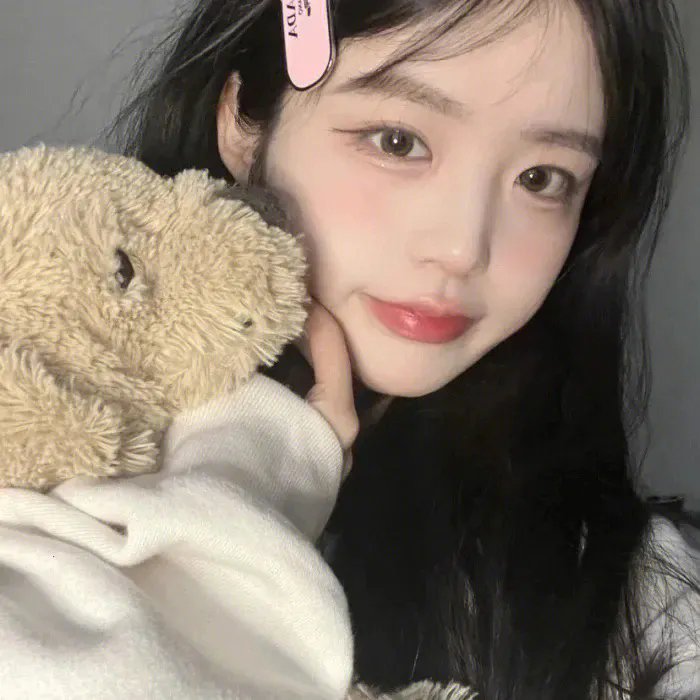 认识狗狗